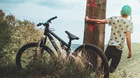 Źródło grafiki: Cliktrans Zdjęcie przedstawiające rower, drzewo oraz postać dziecka stojącą tyłem i obejmującą drzewo lewą ręką.
