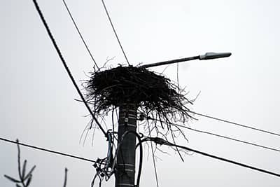 Zdjęcie słupa oświetleniowego bocianim gniazdem i zamontowaną nową lampą.