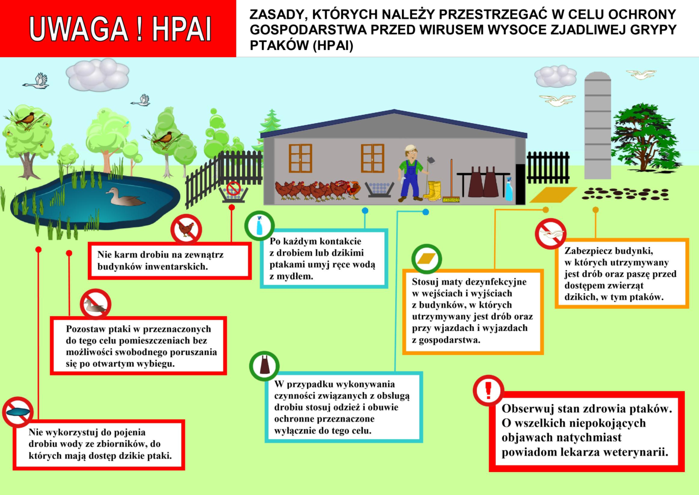 zdjęcie przedstawia ulotkę do opisu strony