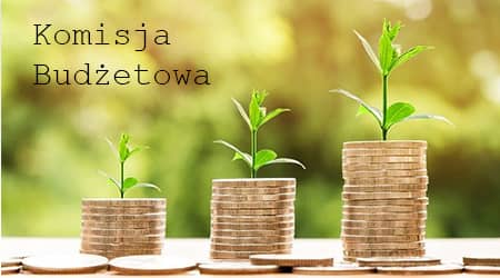 Źródło grafiki: Pixabay Zdjęcie przedstawiające monety ułożone w trzy stosy różnej wielkości na tle roślinności. Napis: komisja budżetowa.