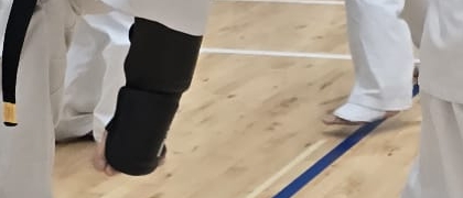 ćwiczenia karate 